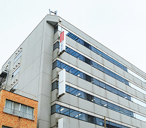 Head Office